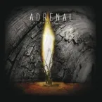 Adrenal