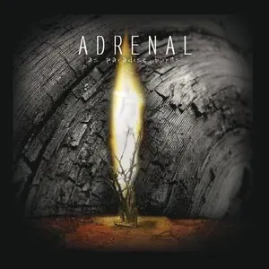 Photo représentant Adrenal