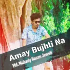 Ariyan Mehedi