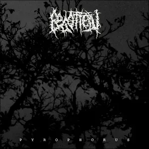 Photo représentant Begotten