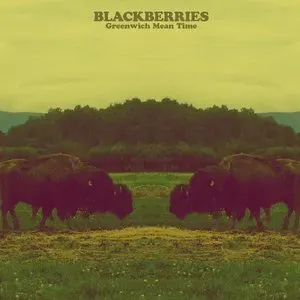 Photo représentant Blackberries