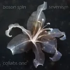 Boson Spin