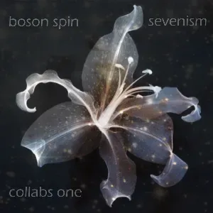 Photo représentant Boson Spin