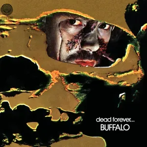 Photo représentant Buffalo