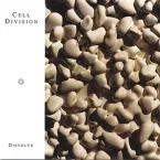 Cell Division