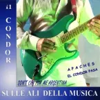 Cicci Guitar Condor