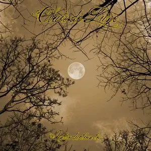 Photo représentant Clair de Lune