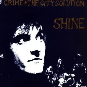 Photo représentant Crime & the City Solution