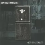 David Bridie