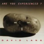 David Lang