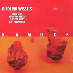 Photo représentant Diederik Wissels