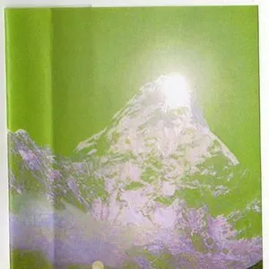 Photo représentant Dolphins Into the Future