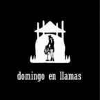 Domingo en Llamas