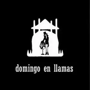 Photo représentant Domingo en Llamas