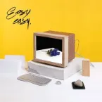 Easy Easy