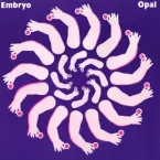 Embryo