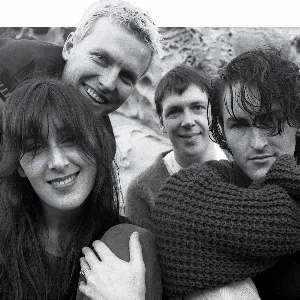 Photo représentant Falling Joys