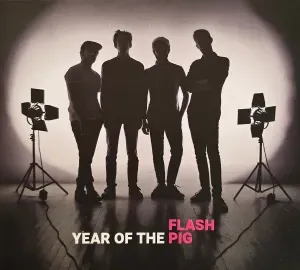 Photo représentant Flash Pig