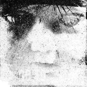 Photo représentant Gareth Davis