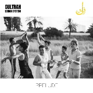 Photo représentant Gultrah Sound System