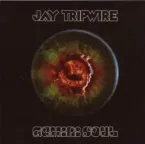 Jay Tripwire