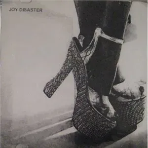 Photo représentant Joy Disaster