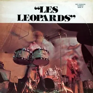 Photo représentant Les Léopards