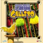Marimba Orquesta Gallito