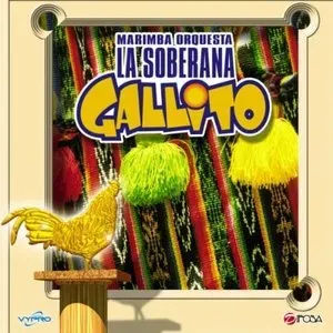 Photo représentant Marimba Orquesta Gallito