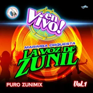 Photo représentant Marimba Orquesta La Voz de Zunil