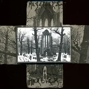 Photo représentant Megaptera