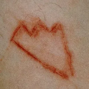 Photo représentant Members Only