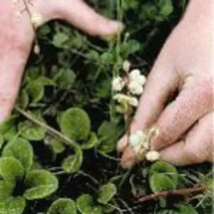 Photo représentant Montag