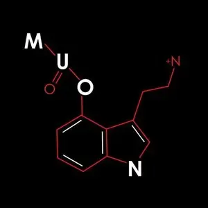 Photo représentant MUON