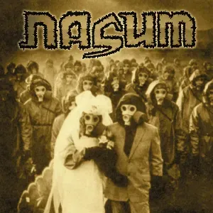 Photo représentant Nasum