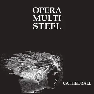 Photo représentant Opera Multi Steel