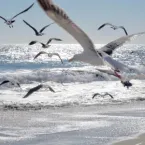 Piano in a Living Room