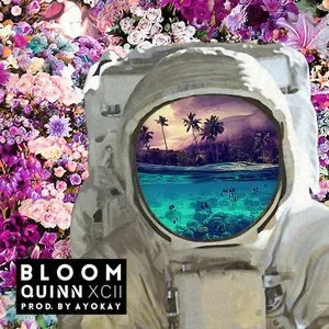 Photo représentant Quinn XCII