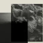 Sajama Cut