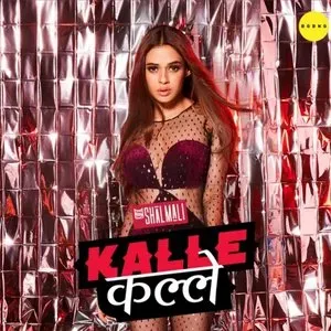 Photo représentant Shalmali Kholgade