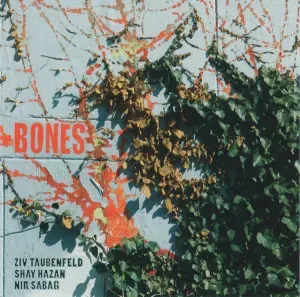 Photo représentant Shay Hazan