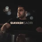 Siavash Sadri