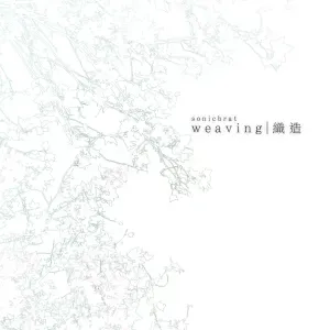 Photo représentant sonicbrat