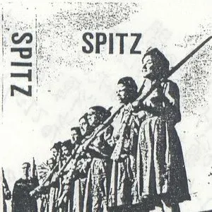 Photo représentant Spitz