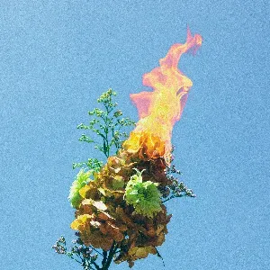 Photo représentant SWIM