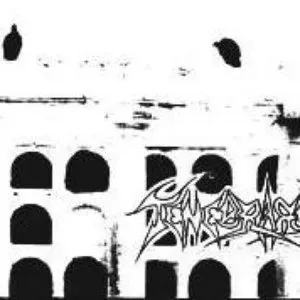 Photo représentant Tenebrarum