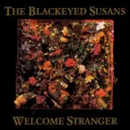 The Blackeyed Susans