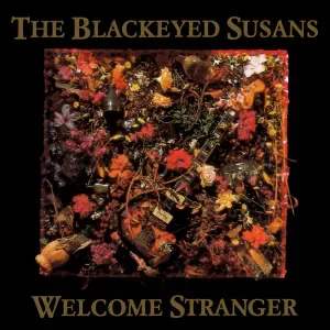 Photo représentant The Blackeyed Susans