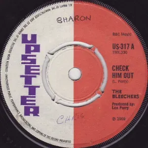 Photo représentant The Bleechers