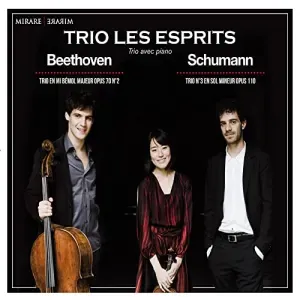 Photo représentant The Florestan Trio